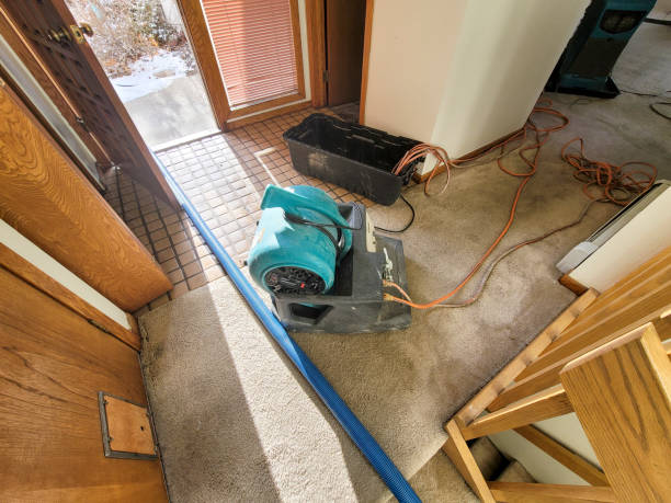 Best Water damage cleanup near me  in Empire, CA