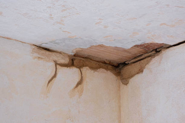 Best Flooded house restoration  in Empire, CA