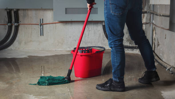 Best Water damage restoration near me  in Empire, CA