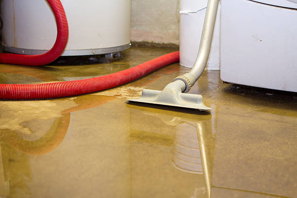 Best Water damage restoration mold remediation  in Empire, CA