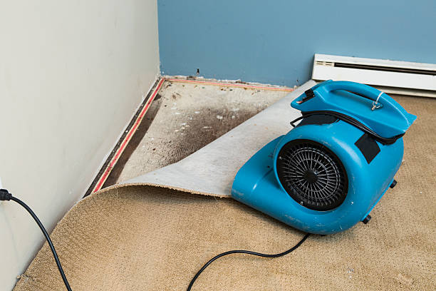 Best Flood restoration services  in Empire, CA
